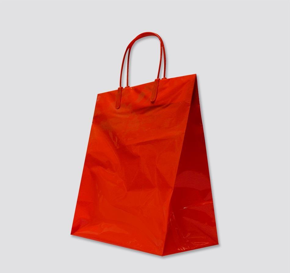 Plastic Shopping Bags with Handles | American Hanger & Fixture